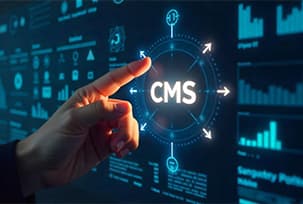 CMS Maintenance and Updates